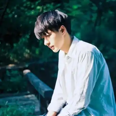 佩特洛維奇,与斯特拉斯,堡合作机会,开云客服,在线客服平台,用户咨询服务,客服帮助中心,平台服务支持