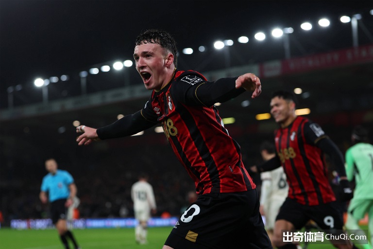 虚荣的篝火,改编,剧集,开云客服,在线客服平台,用户咨询服务,客服帮助中心,平台服务支持